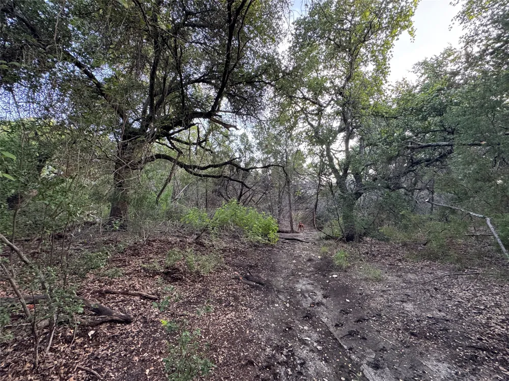 Round Mountain Road Leander, TX 78641