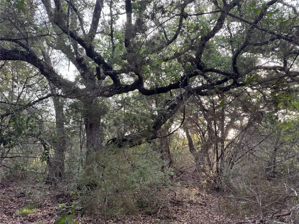 Round Mountain Road Leander, TX 78641