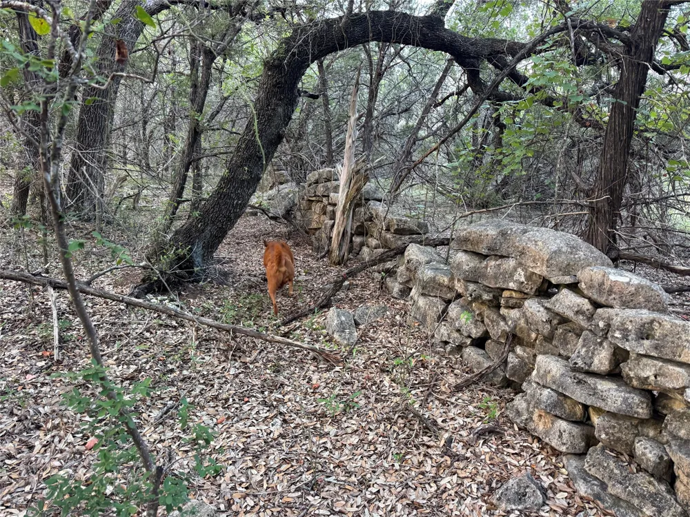 Round Mountain Road Leander, TX 78641