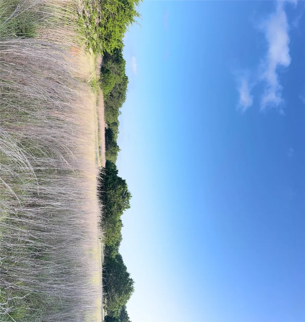 Round Mountain Road Leander, TX 78641