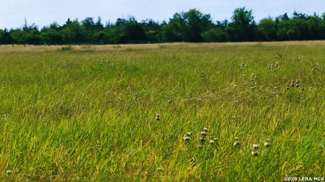 1162 County Road 234B Hallettsville, TX 77964
