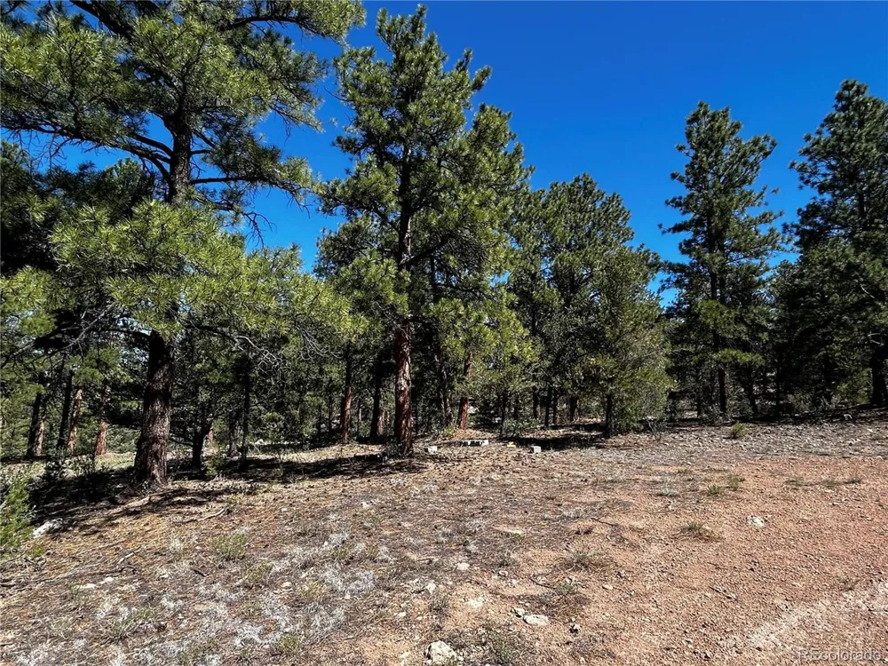960 Oak Drive Westcliffe, CO 81252