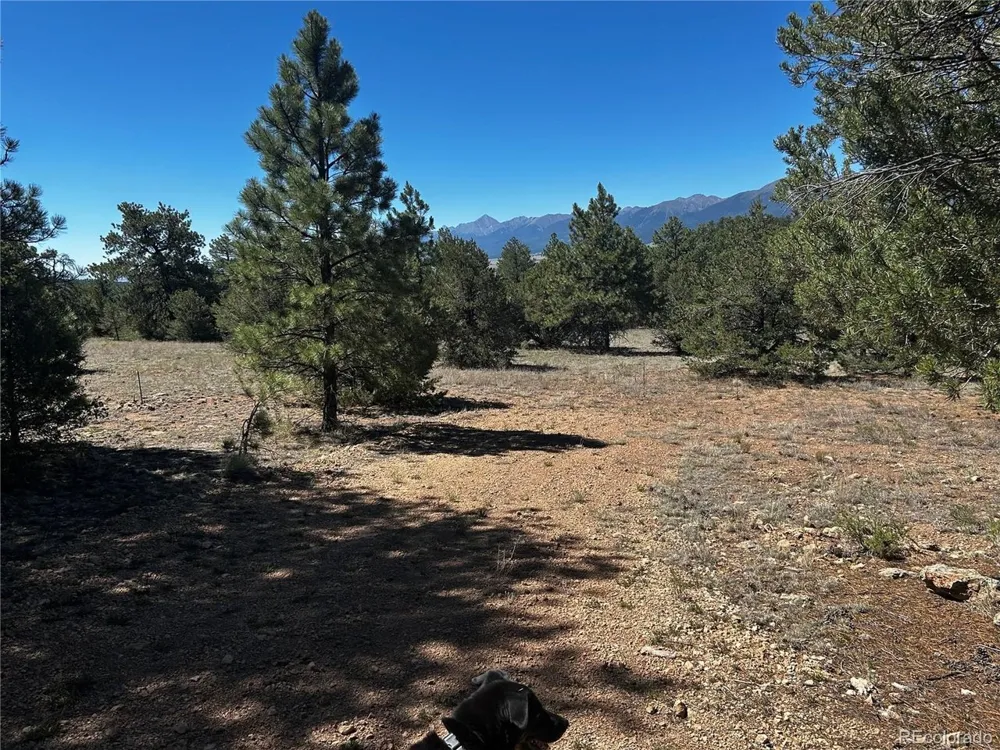960 Oak Drive Westcliffe, CO 81252