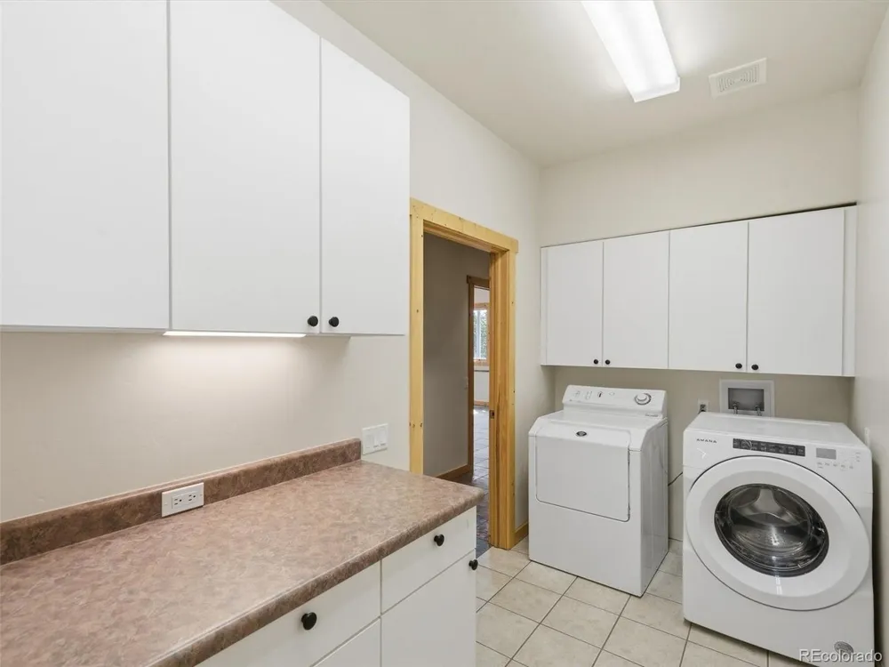 531 Buck Point Drive Carbondale, CO 81623