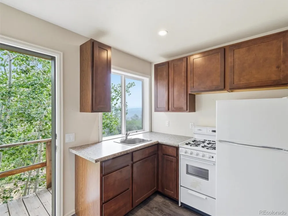 531 Buck Point Drive Carbondale, CO 81623