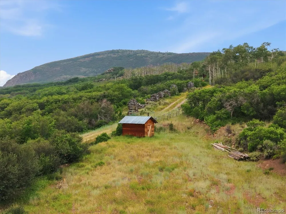 531 Buck Point Drive Carbondale, CO 81623