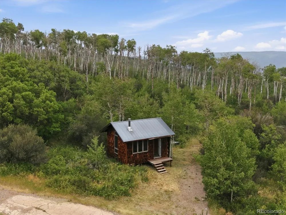 531 Buck Point Drive Carbondale, CO 81623