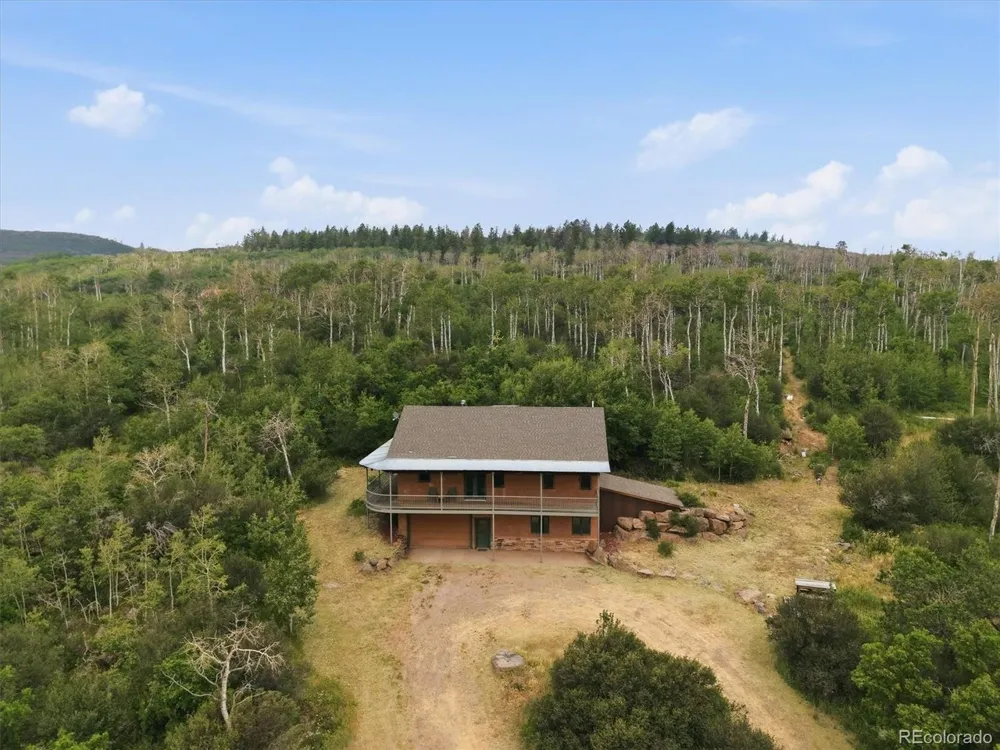 531 Buck Point Drive Carbondale, CO 81623