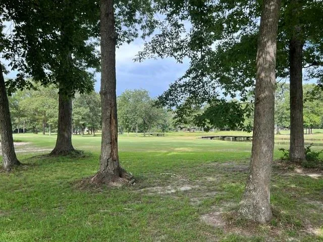 802 W Wildwood Drive Village Mills, TX 77664