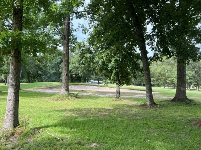 802 W Wildwood Drive Village Mills, TX 77664