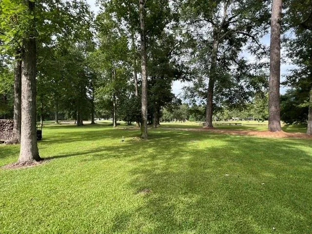 802 W Wildwood Drive Village Mills, TX 77664