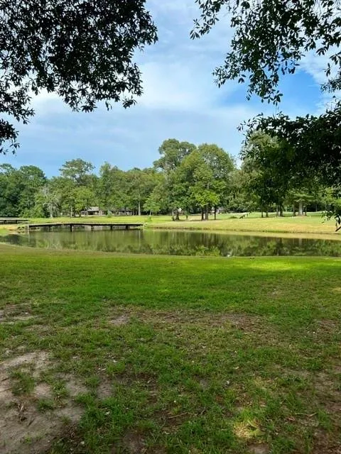 802 W Wildwood Drive Village Mills, TX 77664