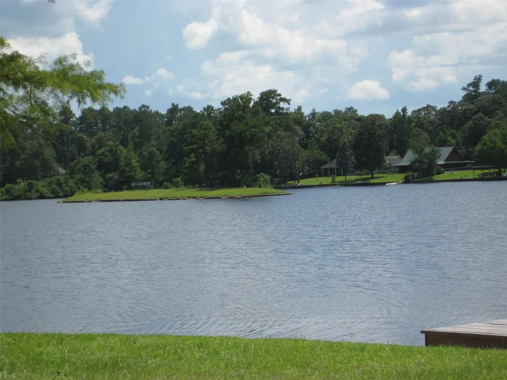 802 W Wildwood Drive Village Mills, TX 77664
