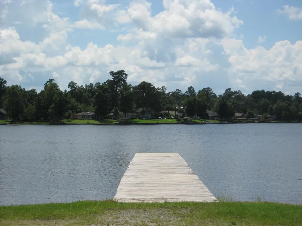 802 W Wildwood Drive Village Mills, TX 77664