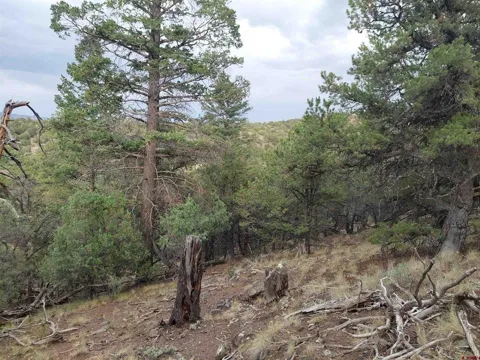 222 Sunrise Road