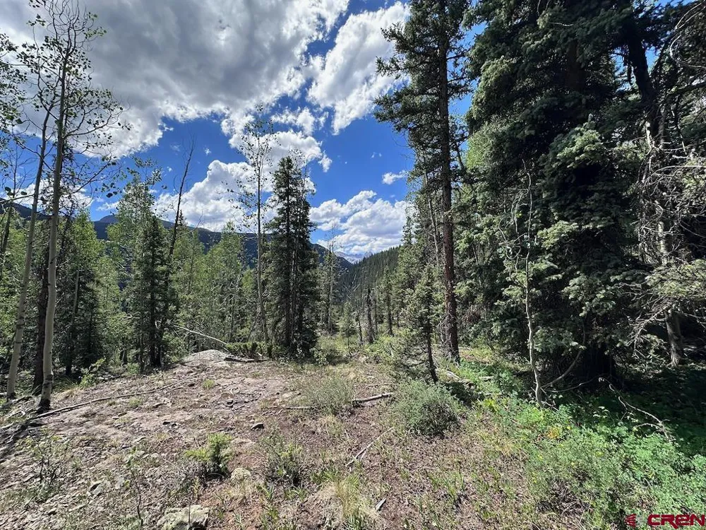 Chicago Highway 550 Silverton, CO 81433