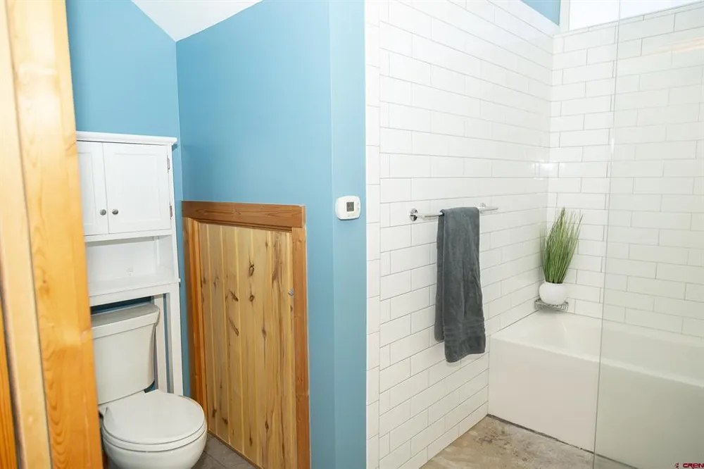 301 Rue La Fong Lane Creede, CO 81130