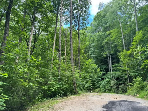 79 Double Branch Trail