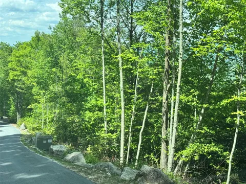 Lot 78 Double Branch Trail