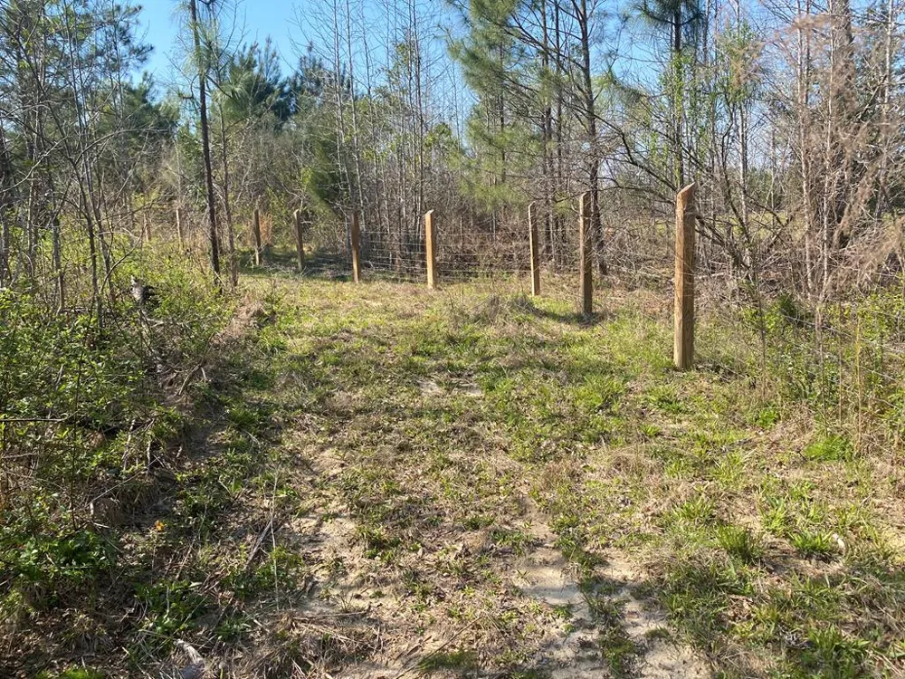 1229 Pierce Road Waverly Hall, GA 31831