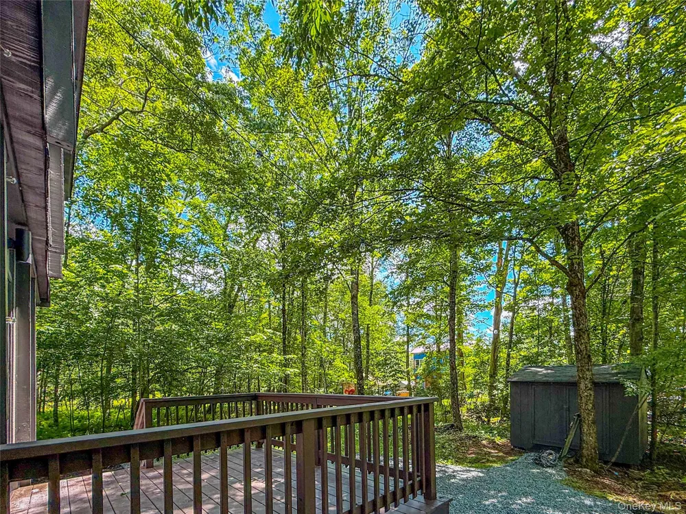9 Lake Drive Parksville, NY 12768