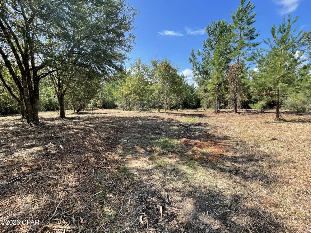 9 Bess Nook Road Bonifay, FL 32425