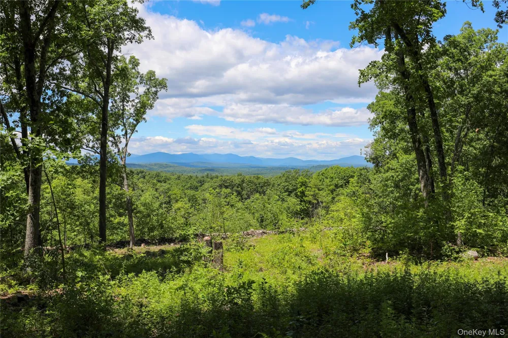 814 Cow Hough Road New Paltz, NY 12561