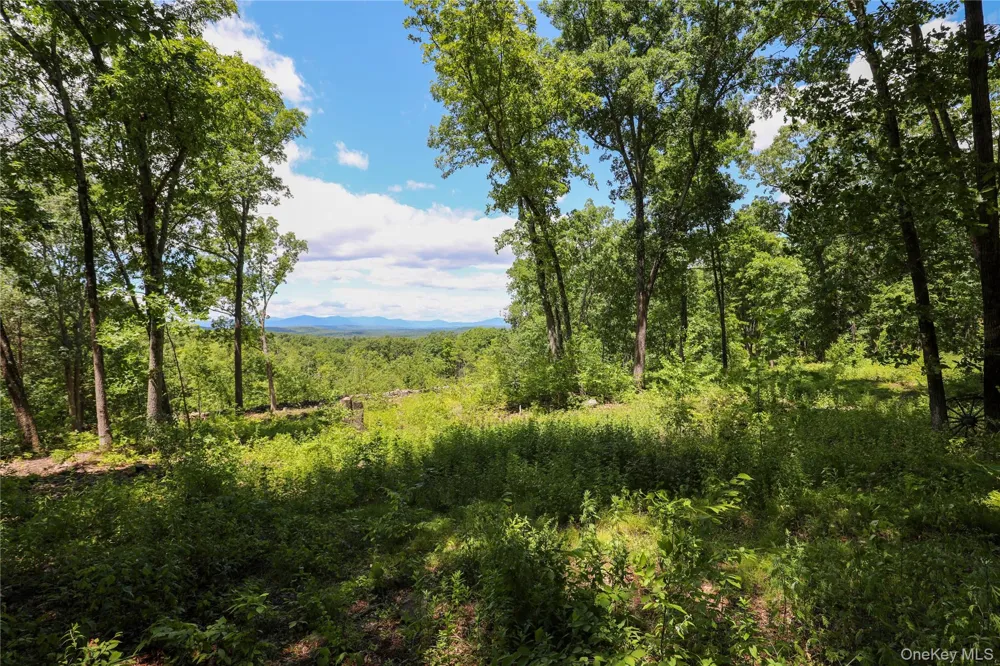 814 Cow Hough Road New Paltz, NY 12561