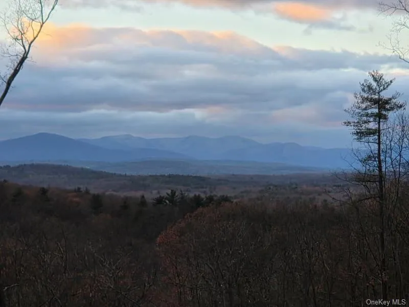 814 Cow Hough Road New Paltz, NY 12561