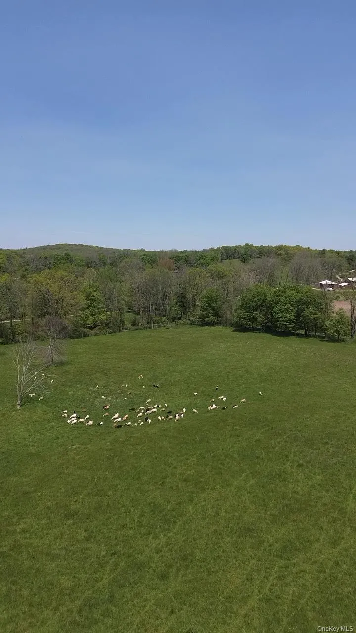 65 Juliet Drive Warwick, NY 10990