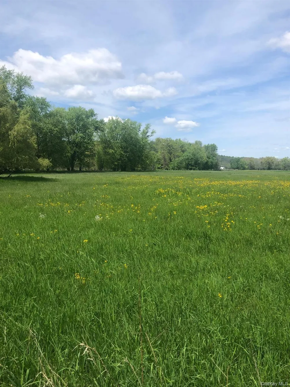 65 Juliet Drive Warwick, NY 10990