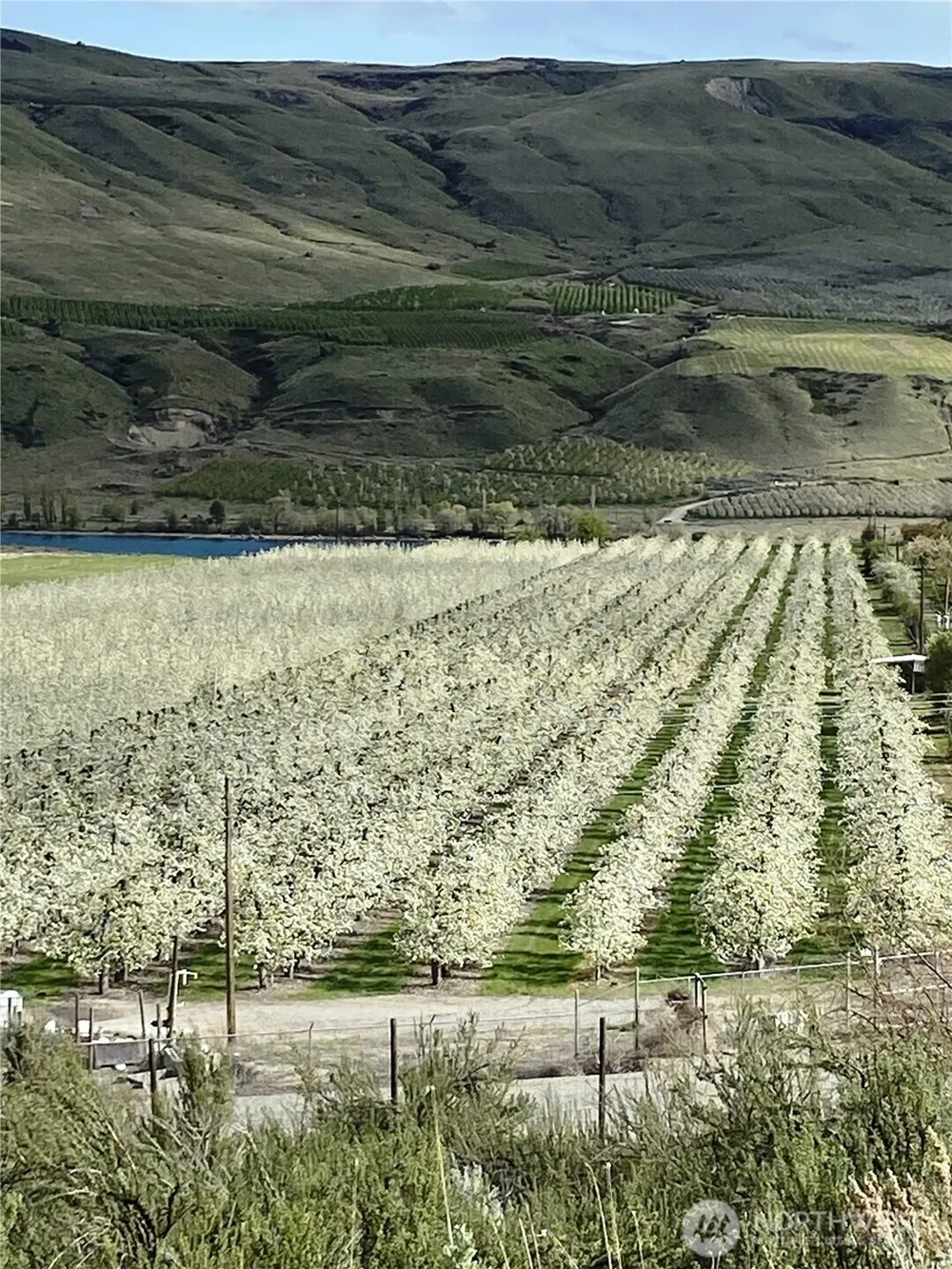 618 Jack Wells Road Bridgeport, WA 98813
