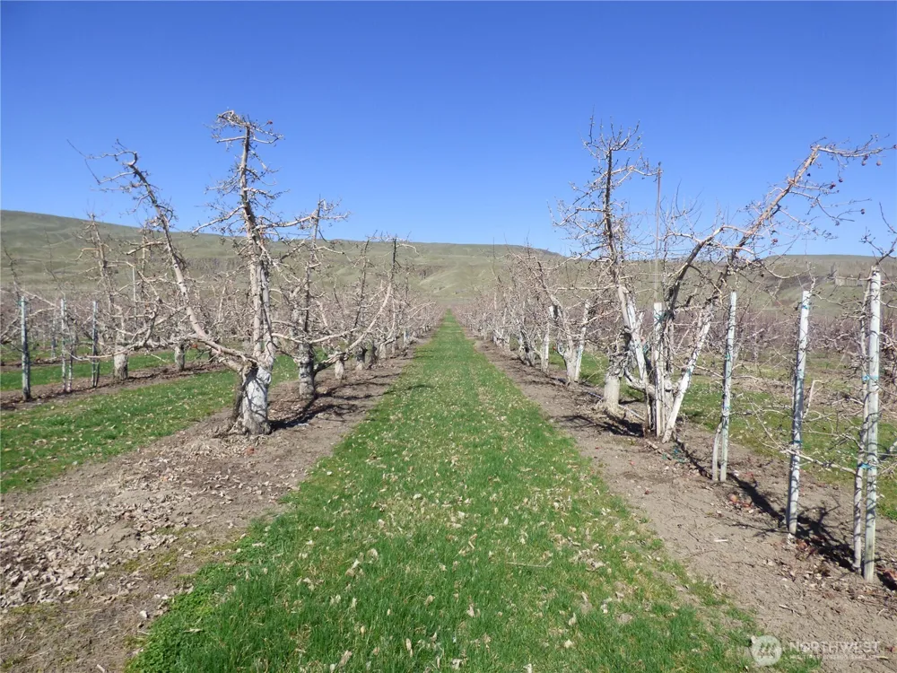 618 Jack Wells Road Bridgeport, WA 98813