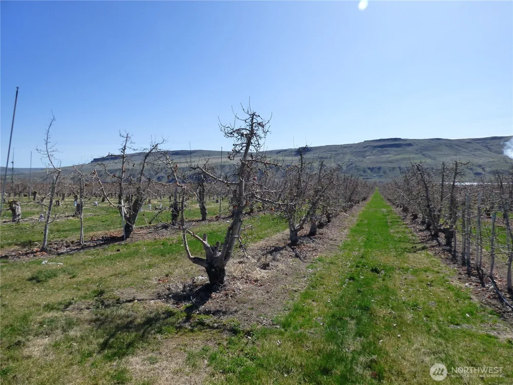 618 Jack Wells Road Bridgeport, WA 98813