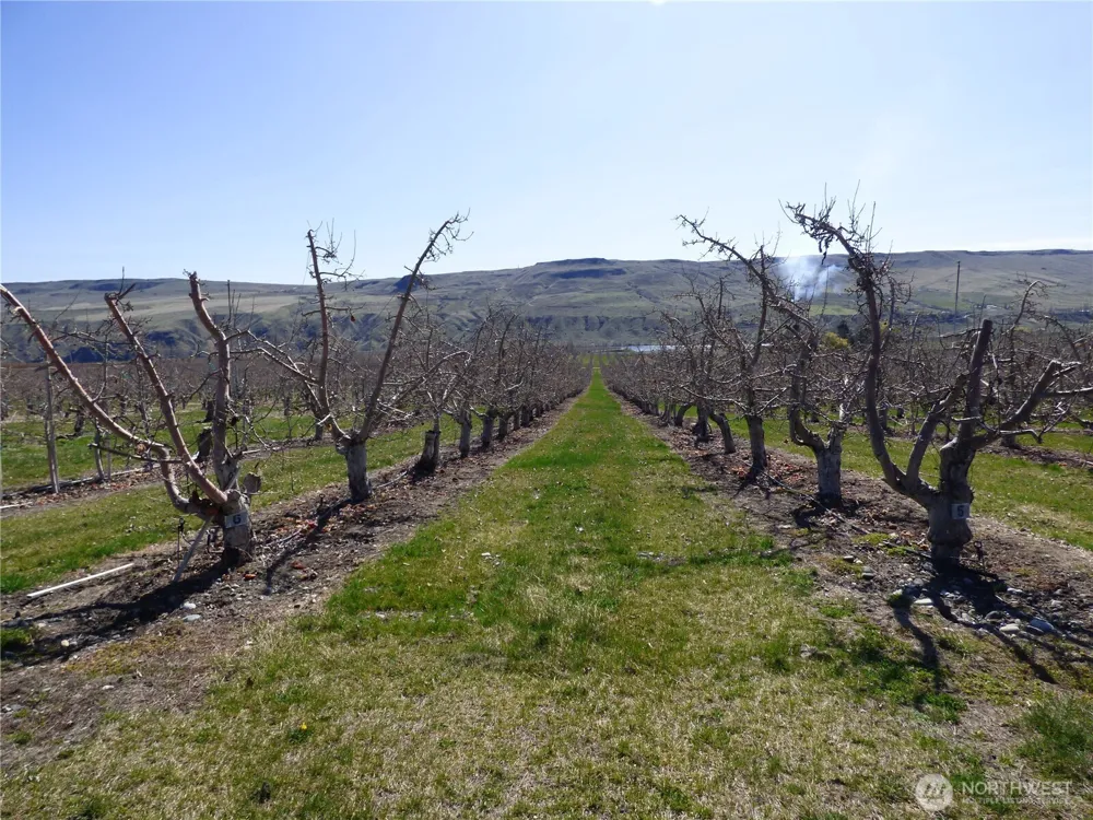 618 Jack Wells Road Bridgeport, WA 98813