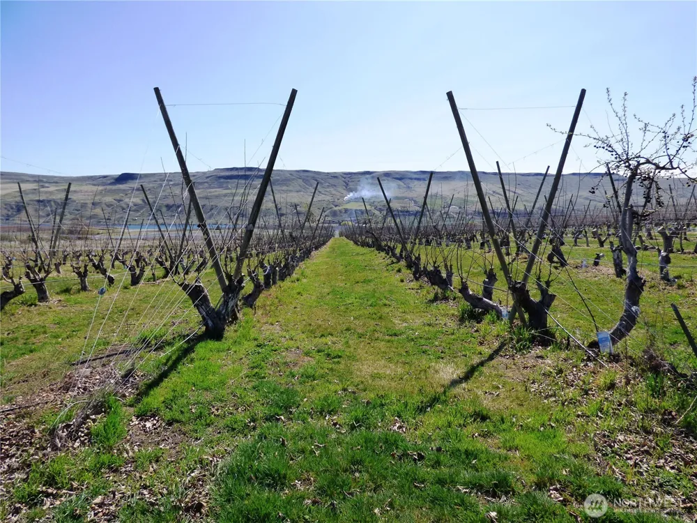 618 Jack Wells Road Bridgeport, WA 98813