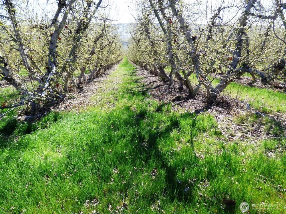 618 Jack Wells Road Bridgeport, WA 98813