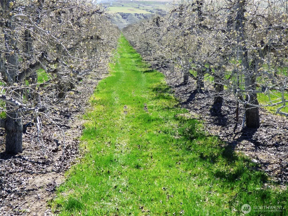 618 Jack Wells Road Bridgeport, WA 98813
