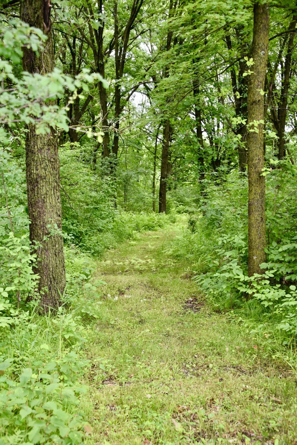 13591 230th Street Milaca, MN 56353