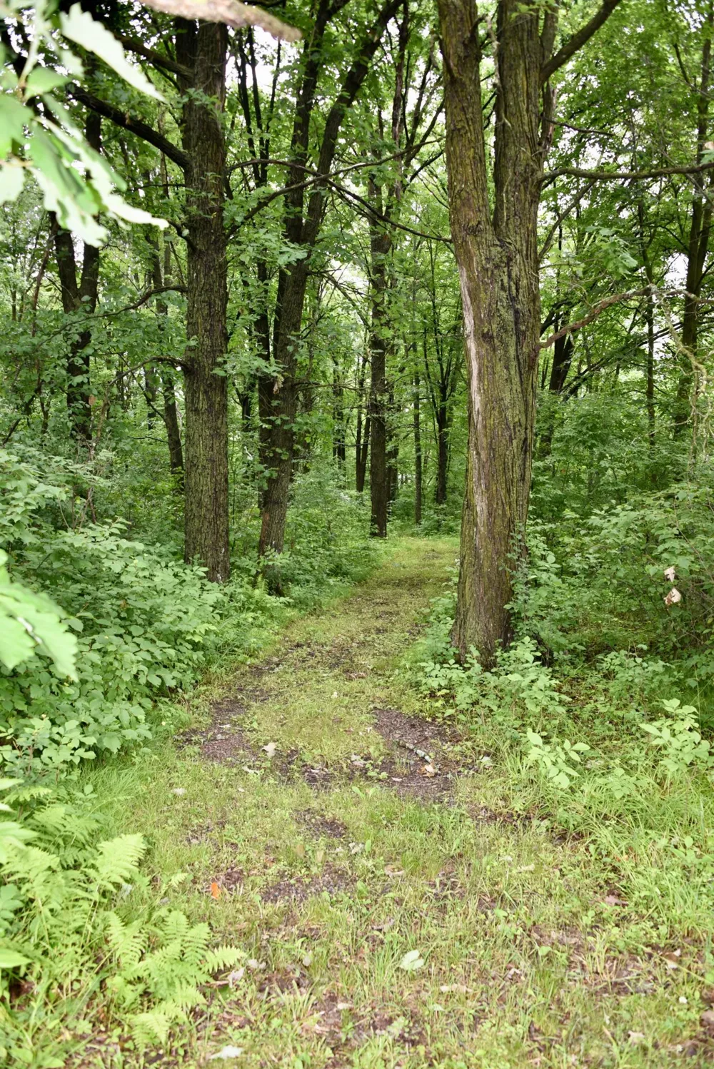 13591 230th Street Milaca, MN 56353