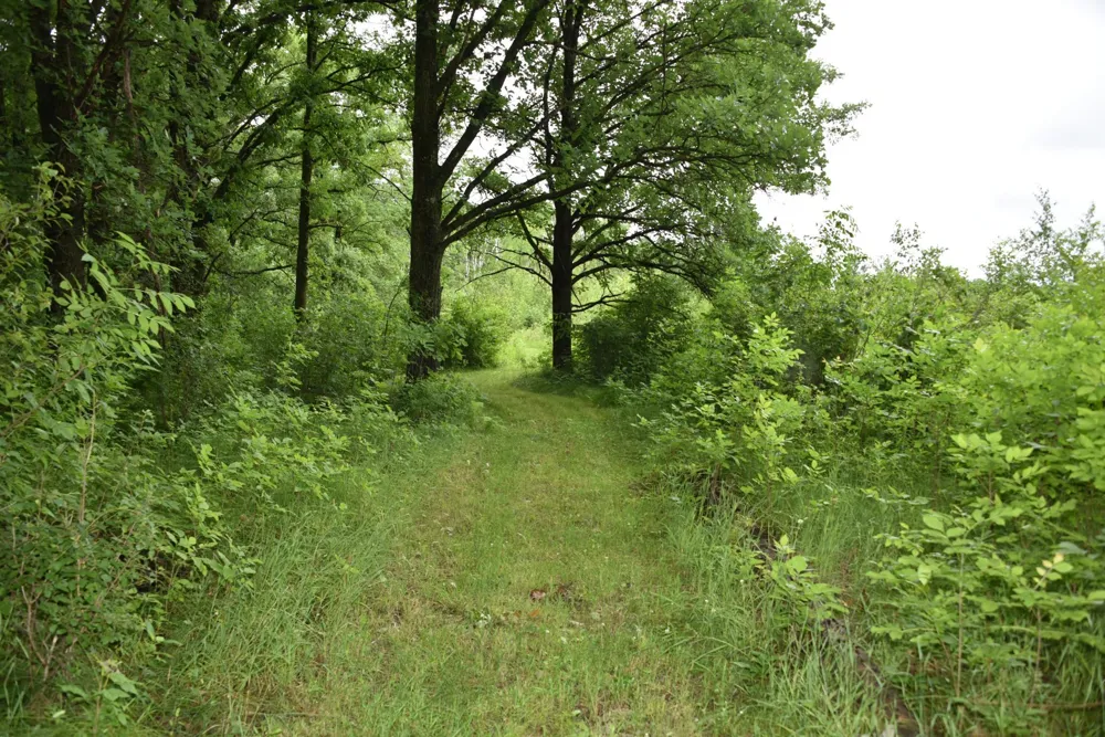 13591 230th Street Milaca, MN 56353