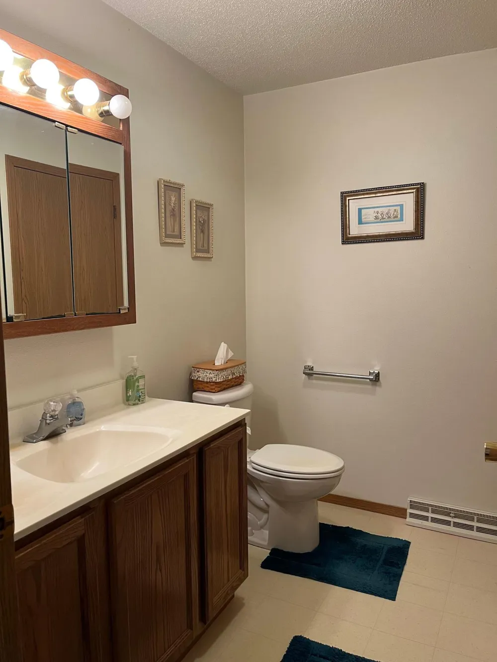 27761 Jonquil Avenue Elko New Market, MN 55020