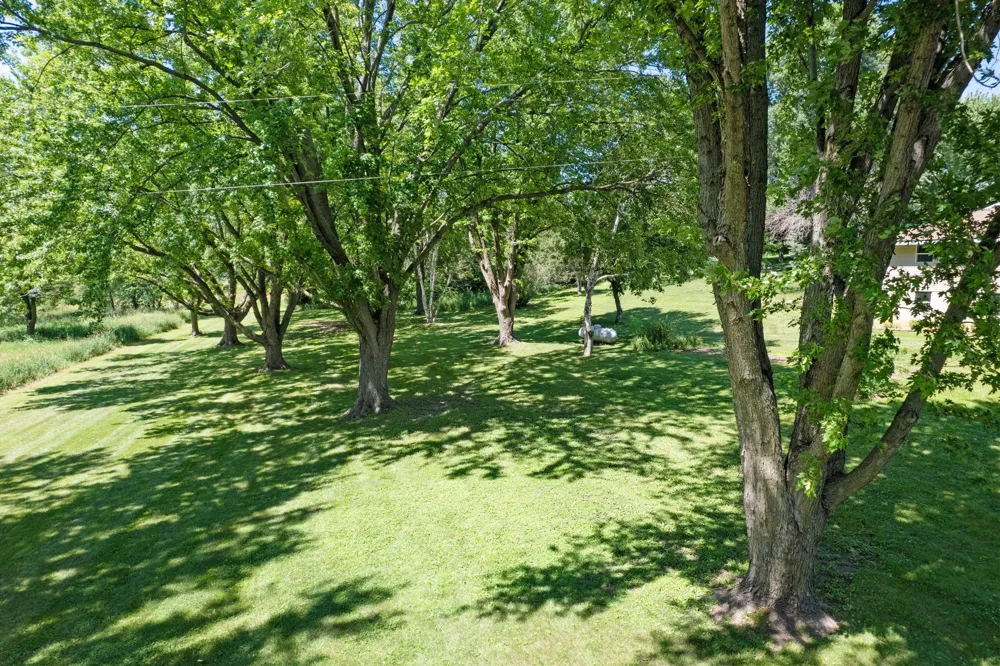 11040 N Shore Road Waconia, MN 55387