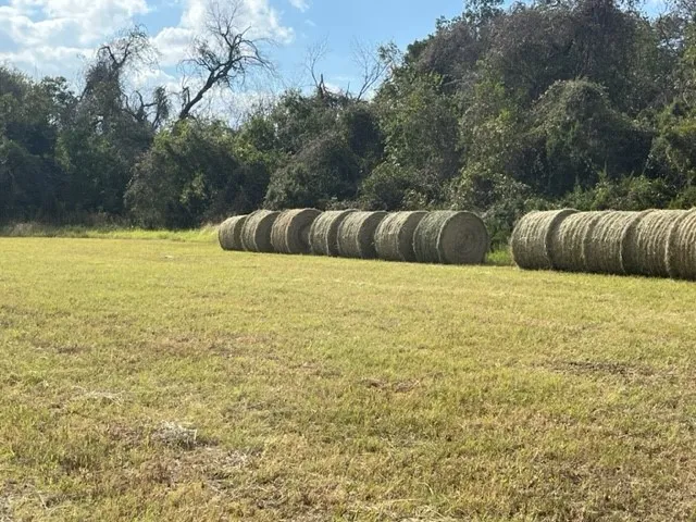 300 E 3rd Street Iredell, TX 76649