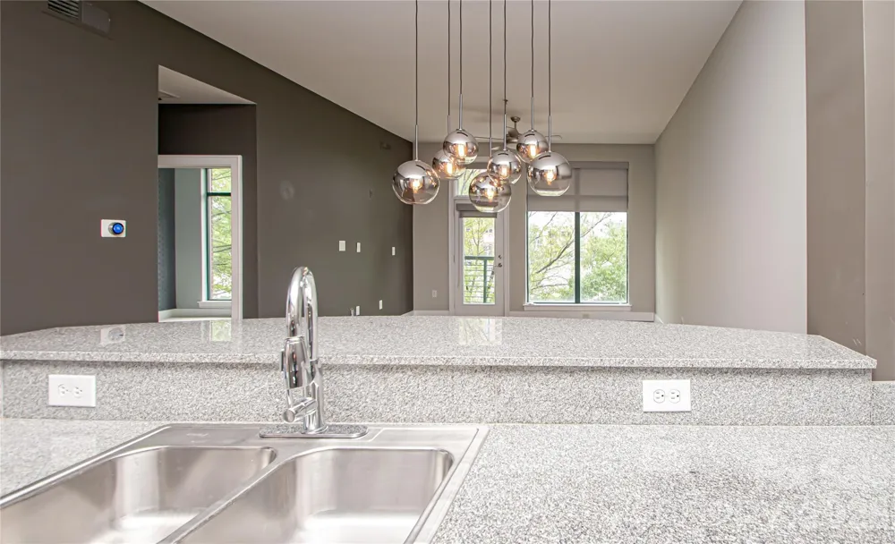 115 E Park Avenue #313 Charlotte, NC 28203