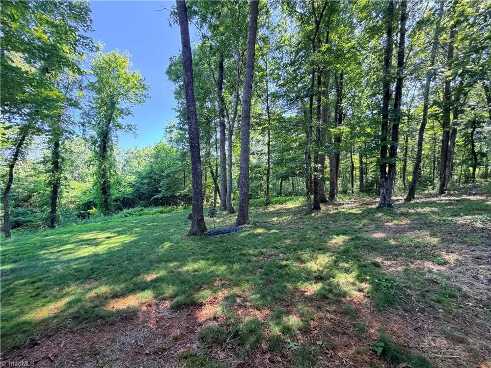 74 Forest Lane Ennice, NC 28623
