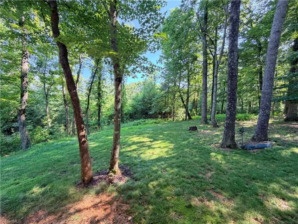 74 Forest Lane Ennice, NC 28623