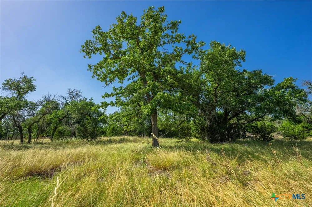 Brook Hollow Lane Mountain Home, TX 78058