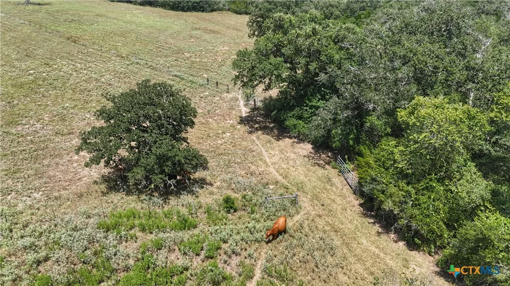 5 State Highway 304 Harwood, TX 78632