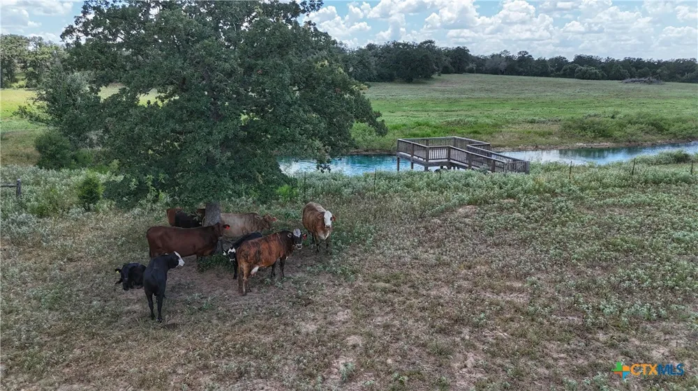 5 State Highway 304 Harwood, TX 78632